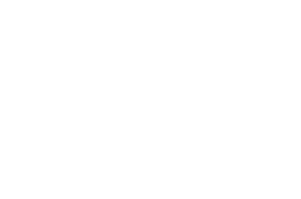 Logo der Baden Württembergischen Immobilienverwalter VDIV in weiß